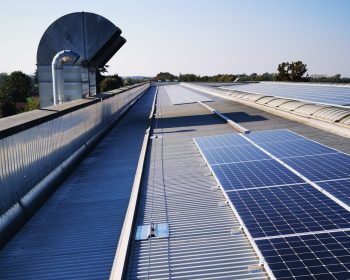 imgi_162_2-1742982125