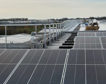 imgi_189_5-1742982339